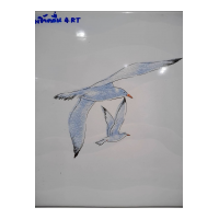 กระเบื้อง 8x10 in.<br>พริ้วคลื่น 4RT